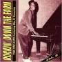 Al Downing -Big- - Vol. 2-rockin' Down The Farm