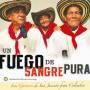 Los Gaiteros De San Jacinto - Un Fuego de Sangre Pura: Los Gaiteros de San Jacin
