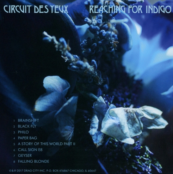 Reaching For Indigo 1