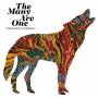Various / Pie Faccini - The Many Are One