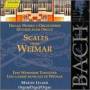 Bach / Lucker - Scales From Weimar: Organ Works