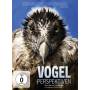 Jrg Adolph - Vogelperspektiven (Special Edition) [DE-Version, Regio 2/B]