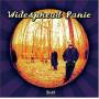 Widespread Panic - Ball