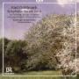 Bamberger Symphoniker; Fabrice Bollon - Symphonische Dichtungen Vol.2