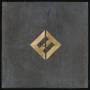 Foo Fighters - Concrete and Gold