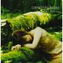 Emi Fujita - Camomile Blend