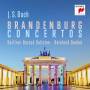 Berliner Barock Solisten / Reinhard Goebel - Brandenburgische Konzerte