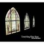 Trembling Blue Stars - The Last Holy Writer