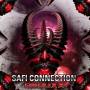 Safi Connection - Reduxx