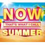 V / A - Now That's What I Call Summer