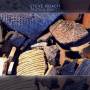 Steve Roach - Truth & Beauty
