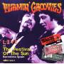 The Flamin Groovies - Live Sun-Festival Barcelona