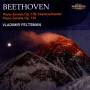 Vladimir Feltsman - Klaviersonaten op.101 & 106