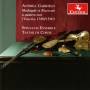 Speculum Ensemble / Tastar De Corde - Madrigali et Ricercari a quattro voci