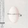 Wilco - A Ghost Is Born