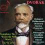 Pomerantz / Budapest Philharmonic Orchestra - Symphony-9