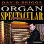 David Brigg - Organ Spectacular