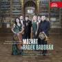 Radek Baborak / Sinfonia Concertante - Werke fr Waldhorn