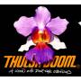 Thulsa Doom - A Keen Eye For The Obvious