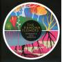 The Ramona Flowers - Dismantle And Rebuild