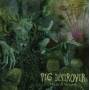 Pig Destroyer - Mass & Volume