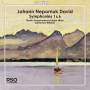 DAVID J. N. - Sinfonien 1 und 6