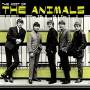 Animals - The Most Of The Animals