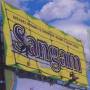 Michael Nyman / + - SANGAM-MICHAEL NYMAN MEETS IND