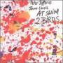 Peter Jefferies / J Lonie - Jat Swim 2 Birds