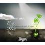 Syn - Big Sky
