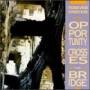 Forever Einstein - Opportunity Crosses The Bridge