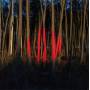 Francois & The Atlas Mountains - Piano Ombre