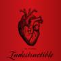 The Pussybats - Indestructible
