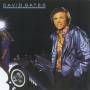 David Gates - Falling In Love Again