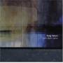 Craig Taborn - Light Made Lighter