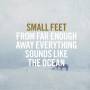 Small Feet - From Far Enough Away Everything Sounds Like (...)