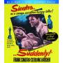 SUDDENLY (2PC) (W / DVD) - Suddenly [Regio free (0)]