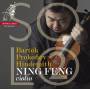 Ning Feng - Solo 2