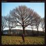 Jim Ghedi - A Hymn For Ancient Land