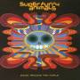 Super Furry Animals - Rings Around The World