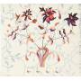 Lee So Ra - Flower
