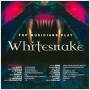Various - Top Musicians Play-whitesnake
