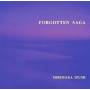 hirotaka Izumi (t-square) - Forgotten Saga
