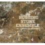 Schultz / Rubbing Stone Ensemble / Brown - Lethbridge Sessions
