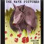 Wave Pictures - Eskimokiss