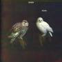 Dungen - Hxan