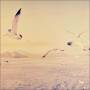 Dear Cloud - Take The Air