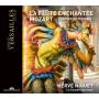 Herv Niquet / Le Concert Spirituel - Die Zauberflte (in franz.Sprache) [DE-Version, Regio 2/B]