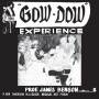 Prof James Benson - The Gow-Dow Experience (Expanded)