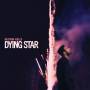 Ruston Kelly - Dying Star (2LP)